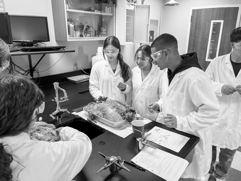 High school diploma pathways: Teen students in white lab oats stand around a science lab table with equiment