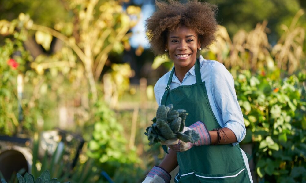 community food access, women of color community project: african american woman holding freshly picked kale from comnunal community garden posing for portrait