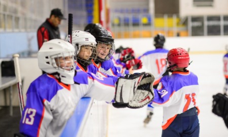 Minnesota communiy hockey access expansion grants, youth sports: group of youths playing hockey at hockey game