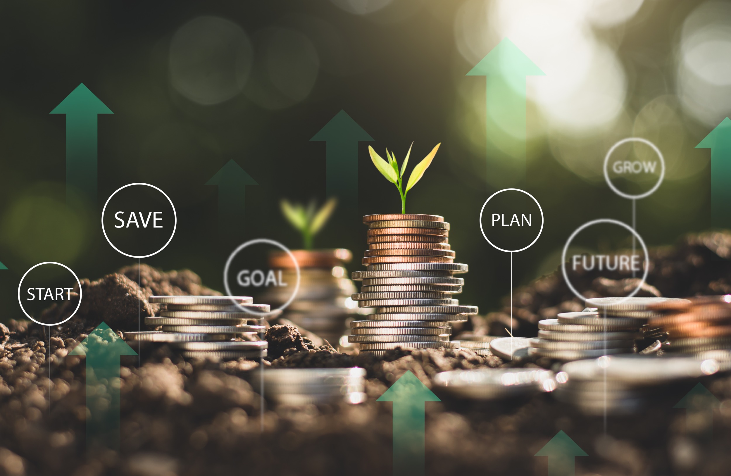 What is wealth-a teen perspective_feature2: graphic depicting money growing over time with piles of coins and seedlings sprouting, financial education