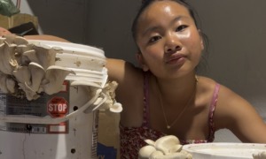 People want to help youth who are brave enough to be different_feature: young Asian woman crouches next to buckets with mushrooms growing out of them