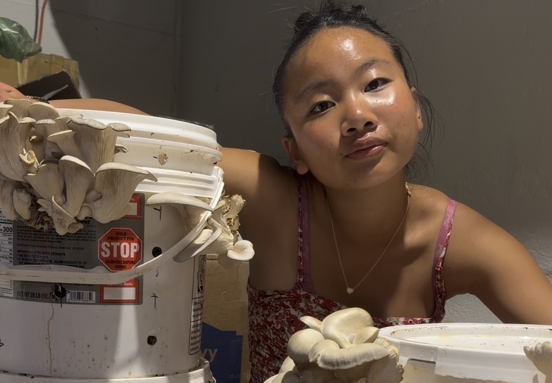 People want to help youth who are brave enough to be different_feature: young Asian woman crouches next to buckets with mushrooms growing out of them