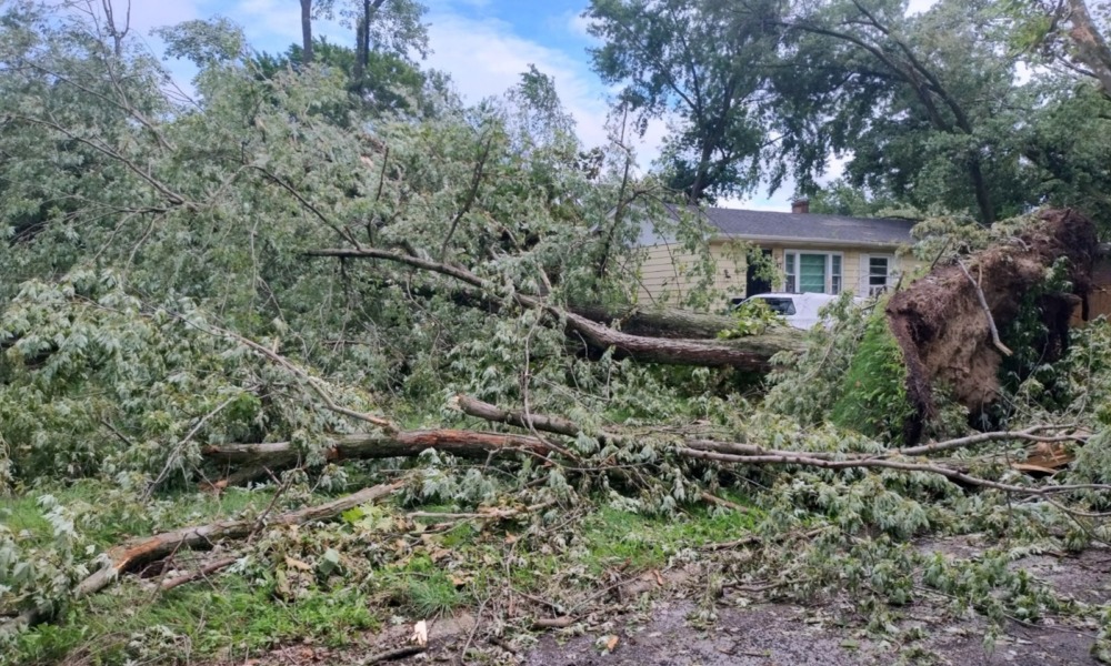 When the lights go out, whose children matter_feature: photo of trees downed by storm in front of yellow house, power outages