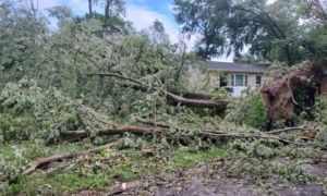 When the lights go out, whose children matter_feature: photo of trees downed by storm in front of yellow house, power outages