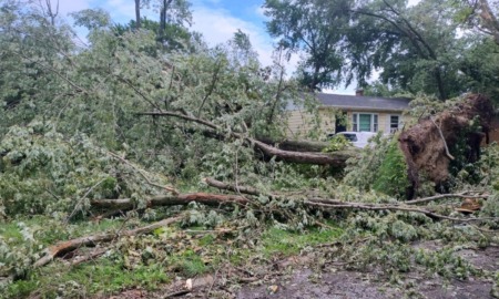 When the lights go out, whose children matter_feature: photo of trees downed by storm in front of yellow house, power outages