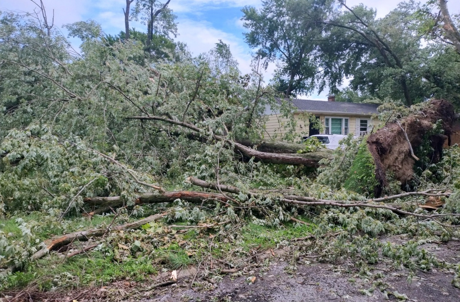 When the lights go out, whose children matter_feature: photo of trees downed by storm in front of yellow house, power outages