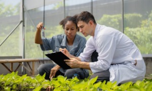 Food and agricultural sciences higher education improvement program grants: two agricultural students kneel in greenhouse looking at plants and tablet